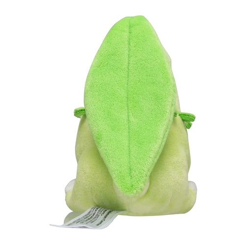 152 Peluche Pokémon fit Chikorita