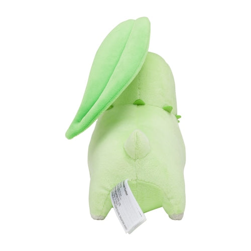 152 Peluche Pokémon fit Chikorita